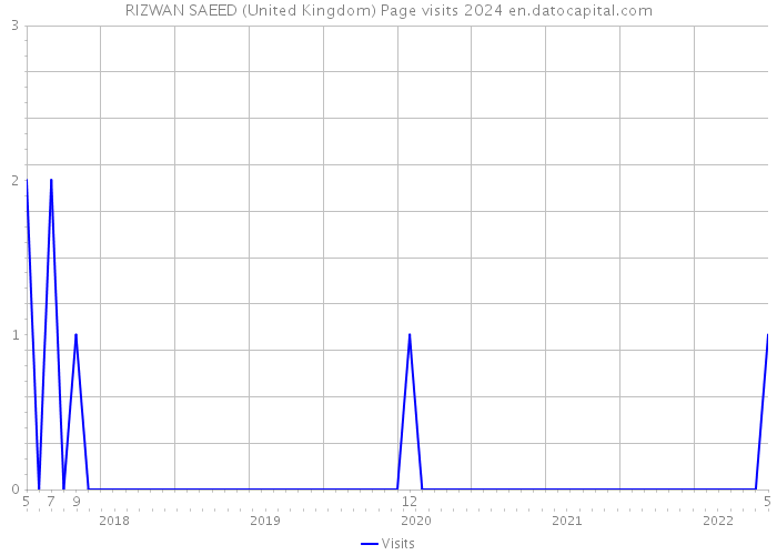 RIZWAN SAEED (United Kingdom) Page visits 2024 