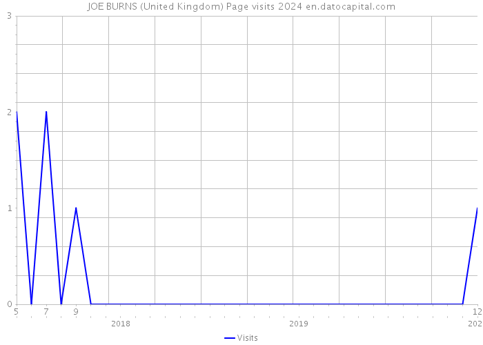 JOE BURNS (United Kingdom) Page visits 2024 