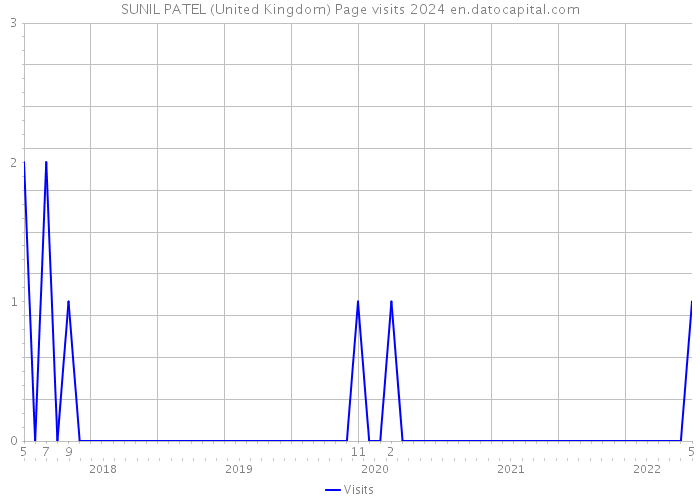 SUNIL PATEL (United Kingdom) Page visits 2024 