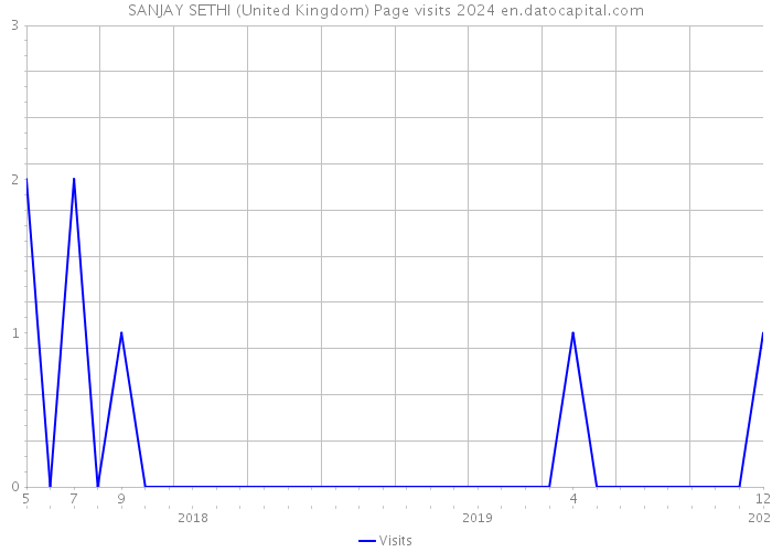 SANJAY SETHI (United Kingdom) Page visits 2024 