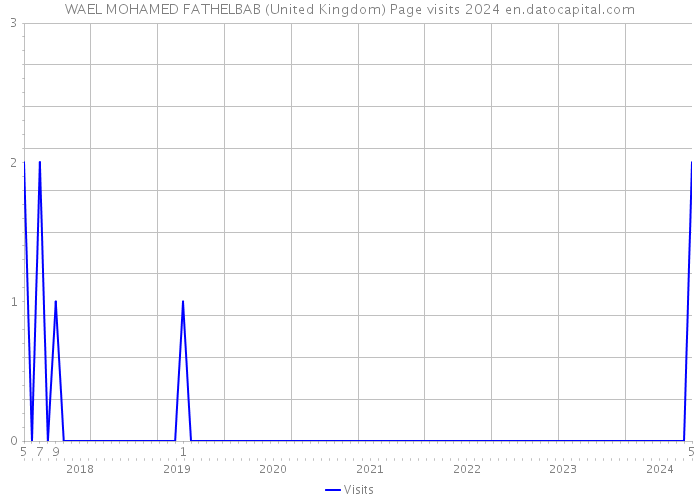 WAEL MOHAMED FATHELBAB (United Kingdom) Page visits 2024 