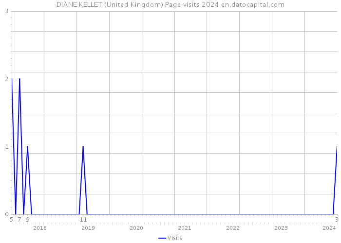 DIANE KELLET (United Kingdom) Page visits 2024 