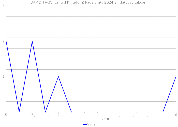 DAVID TAGG (United Kingdom) Page visits 2024 