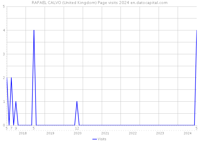 RAFAEL CALVO (United Kingdom) Page visits 2024 