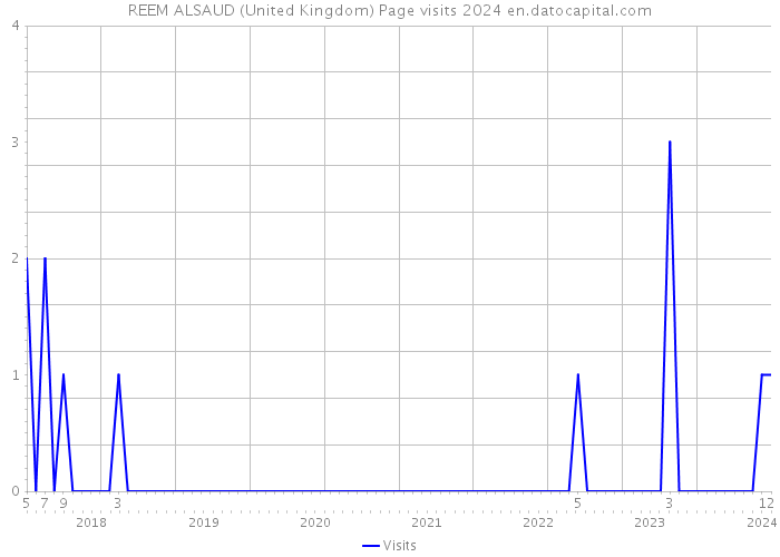 REEM ALSAUD (United Kingdom) Page visits 2024 