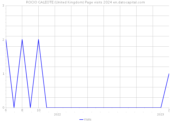 ROCIO GALEOTE (United Kingdom) Page visits 2024 