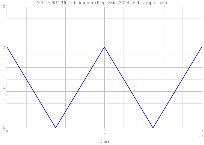 ZARINA BUT (United Kingdom) Page visits 2024 