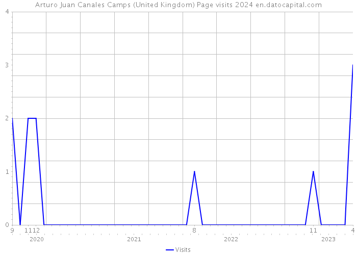 Arturo Juan Canales Camps (United Kingdom) Page visits 2024 
