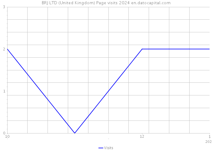 BRJ LTD (United Kingdom) Page visits 2024 