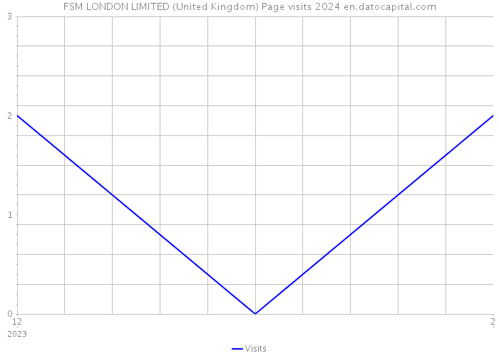FSM LONDON LIMITED (United Kingdom) Page visits 2024 