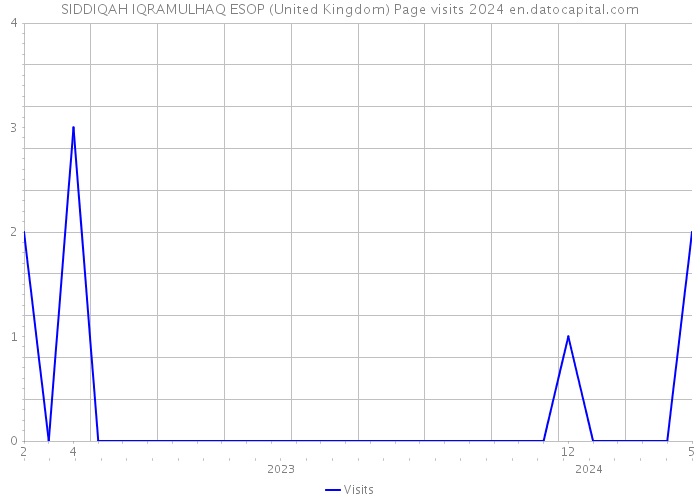 SIDDIQAH IQRAMULHAQ ESOP (United Kingdom) Page visits 2024 