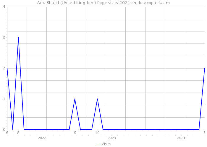 Anu Bhujel (United Kingdom) Page visits 2024 