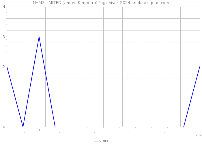 NAMZ LIMITED (United Kingdom) Page visits 2024 
