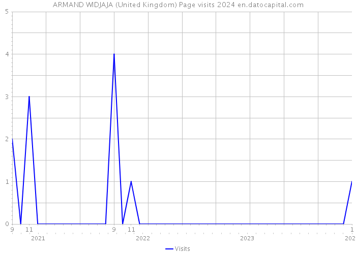 ARMAND WIDJAJA (United Kingdom) Page visits 2024 