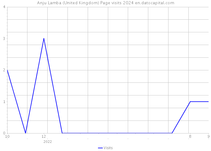 Anju Lamba (United Kingdom) Page visits 2024 