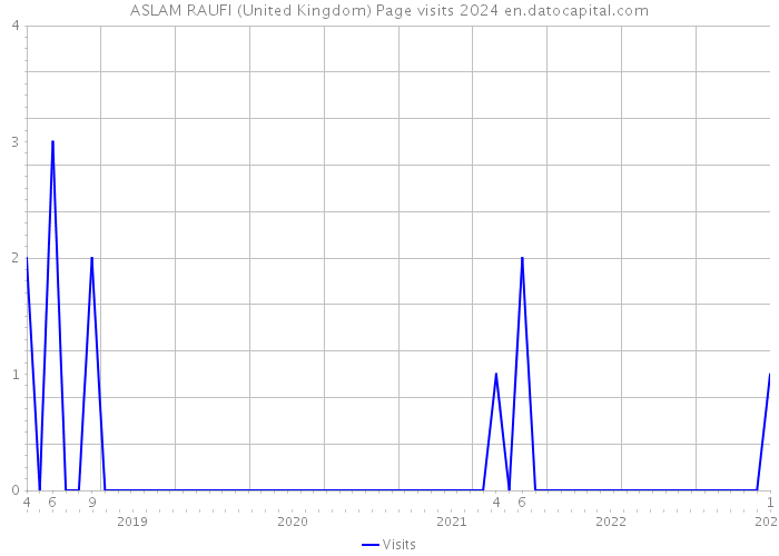 ASLAM RAUFI (United Kingdom) Page visits 2024 