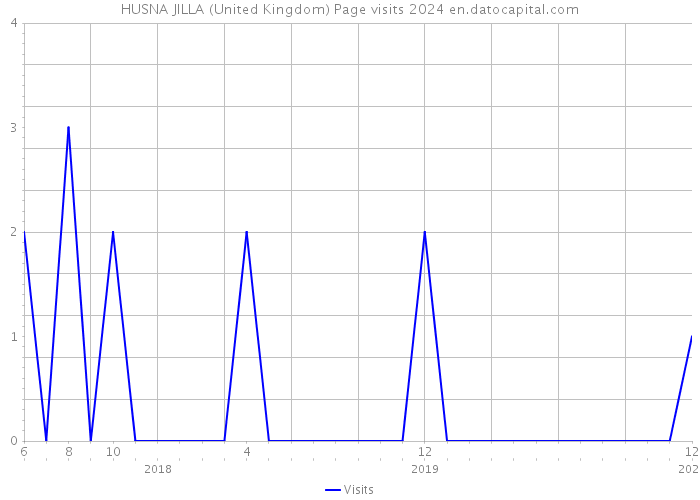 HUSNA JILLA (United Kingdom) Page visits 2024 