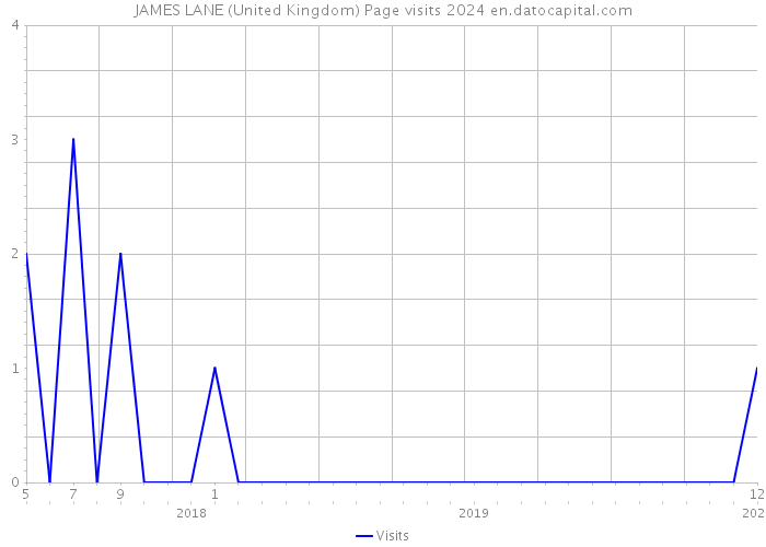 JAMES LANE (United Kingdom) Page visits 2024 
