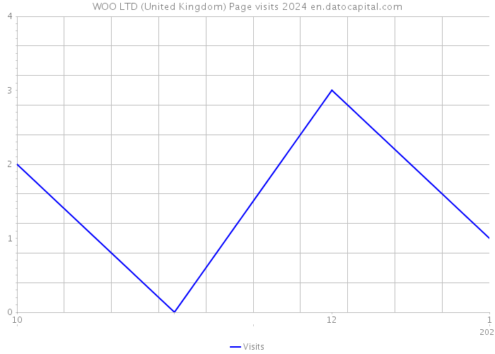 WOO LTD (United Kingdom) Page visits 2024 
