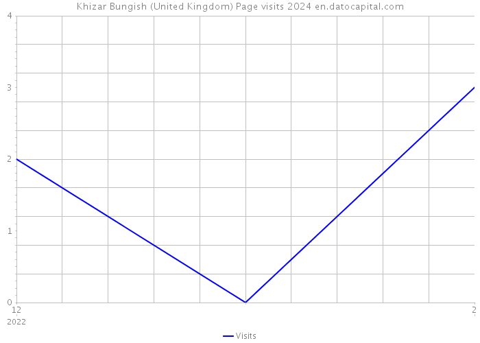 Khizar Bungish (United Kingdom) Page visits 2024 