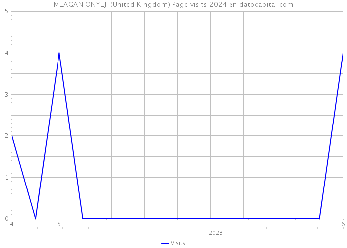 MEAGAN ONYEJI (United Kingdom) Page visits 2024 
