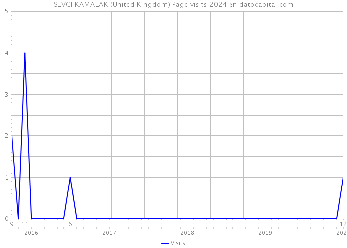 SEVGI KAMALAK (United Kingdom) Page visits 2024 