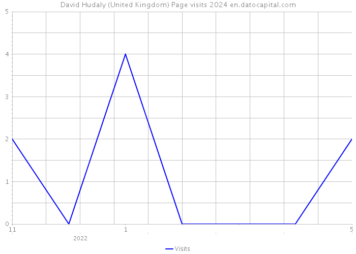 David Hudaly (United Kingdom) Page visits 2024 