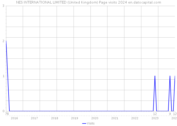 NES INTERNATIONAL LIMITED (United Kingdom) Page visits 2024 