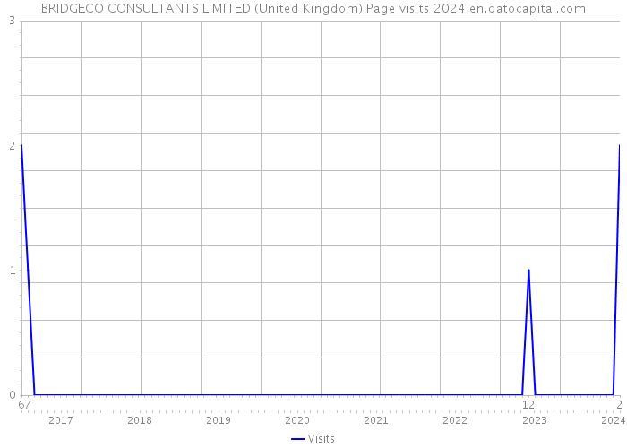 BRIDGECO CONSULTANTS LIMITED (United Kingdom) Page visits 2024 