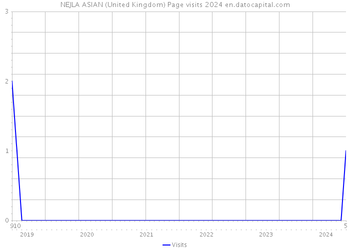 NEJLA ASIAN (United Kingdom) Page visits 2024 