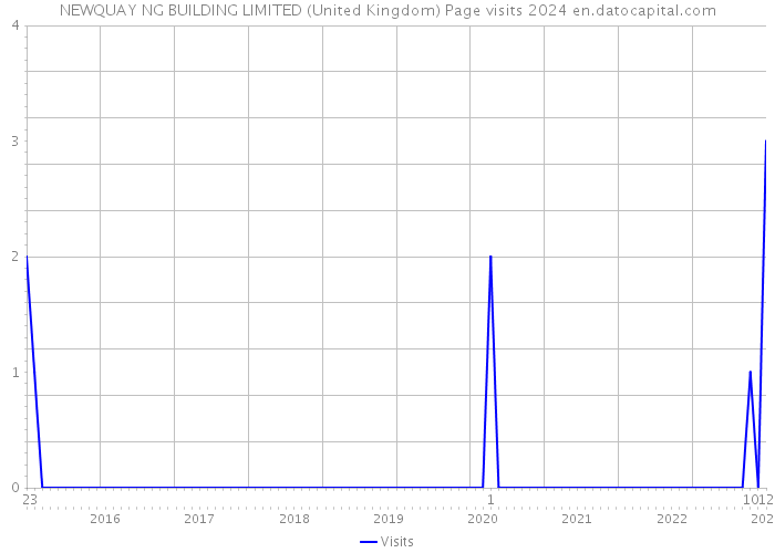 NEWQUAY NG BUILDING LIMITED (United Kingdom) Page visits 2024 