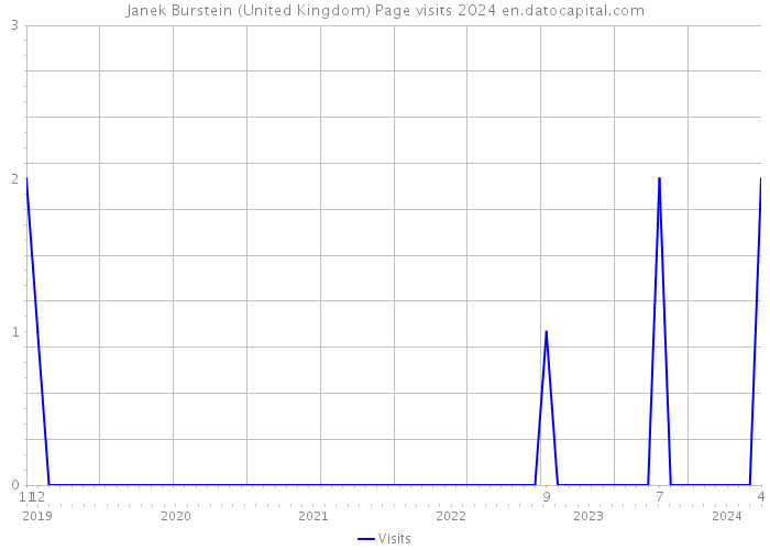 Janek Burstein (United Kingdom) Page visits 2024 