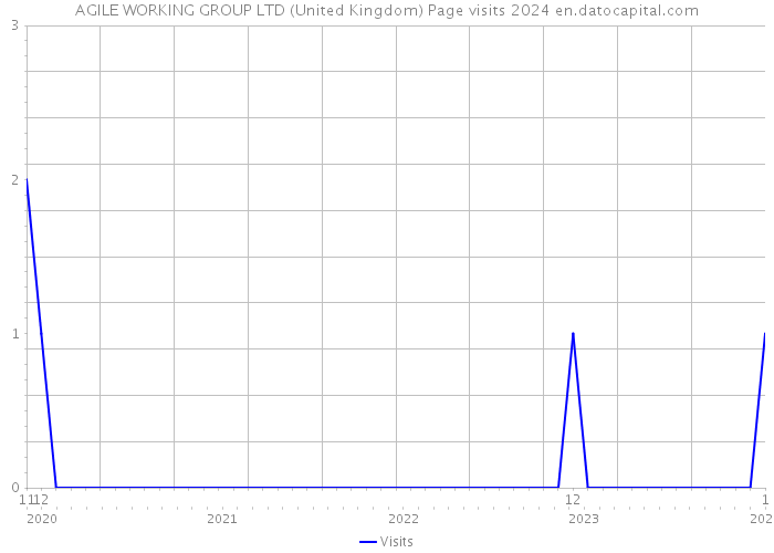 AGILE WORKING GROUP LTD (United Kingdom) Page visits 2024 