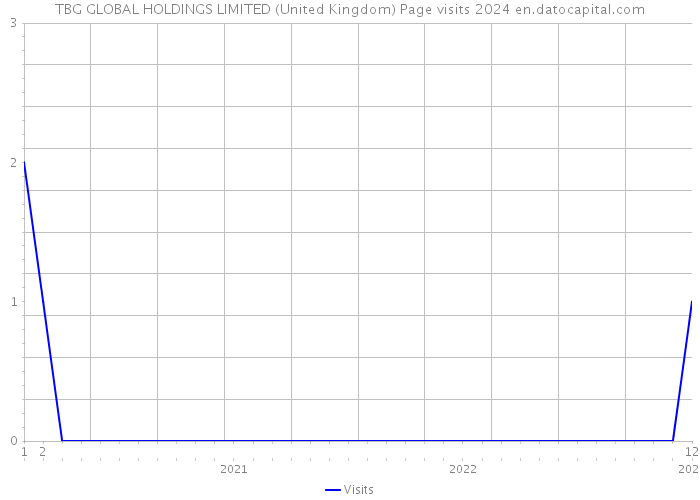 TBG GLOBAL HOLDINGS LIMITED (United Kingdom) Page visits 2024 