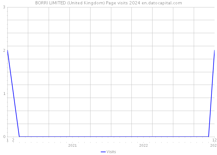 BORRI LIMITED (United Kingdom) Page visits 2024 
