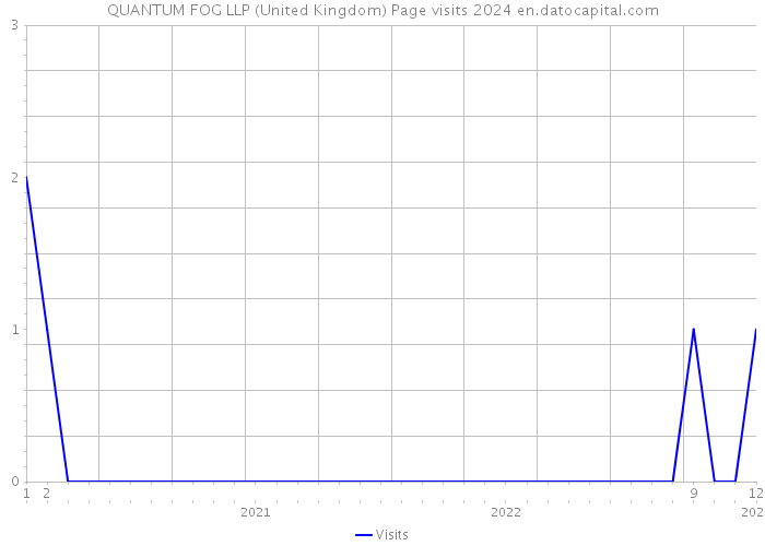 QUANTUM FOG LLP (United Kingdom) Page visits 2024 