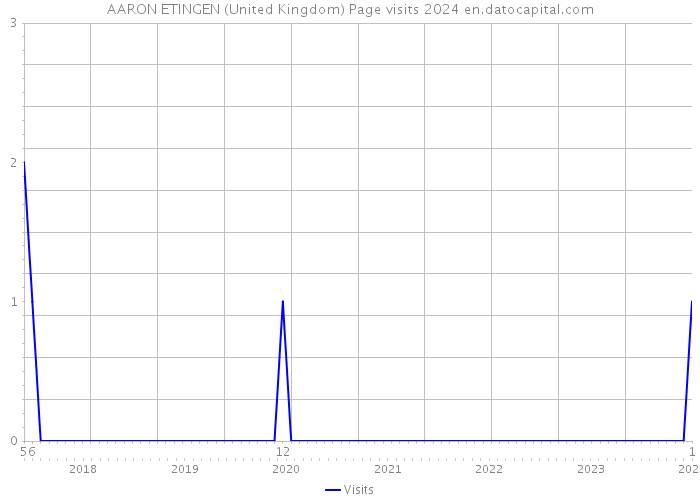 AARON ETINGEN (United Kingdom) Page visits 2024 