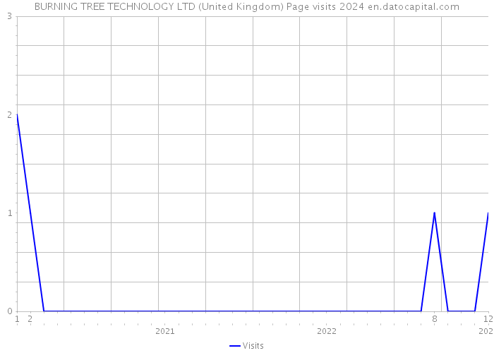BURNING TREE TECHNOLOGY LTD (United Kingdom) Page visits 2024 