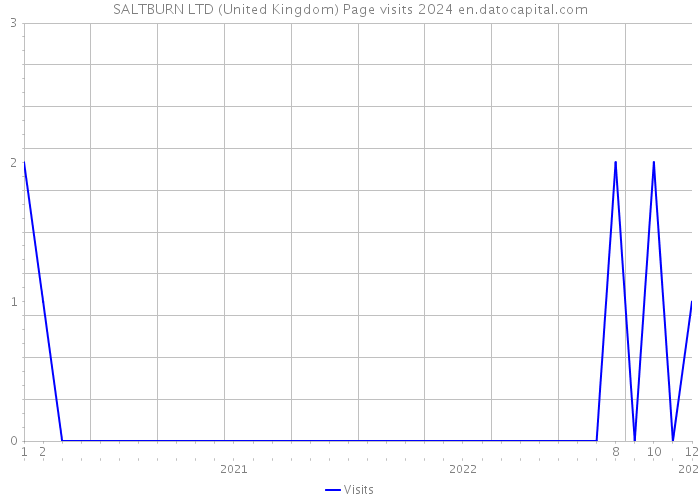 SALTBURN LTD (United Kingdom) Page visits 2024 