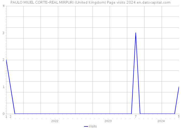 PAULO MIUEL CORTE-REAL MIRPURI (United Kingdom) Page visits 2024 