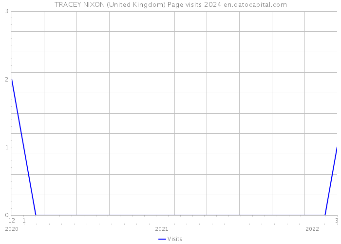 TRACEY NIXON (United Kingdom) Page visits 2024 