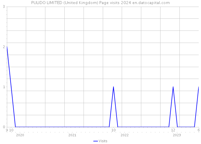 PULIDO LIMITED (United Kingdom) Page visits 2024 