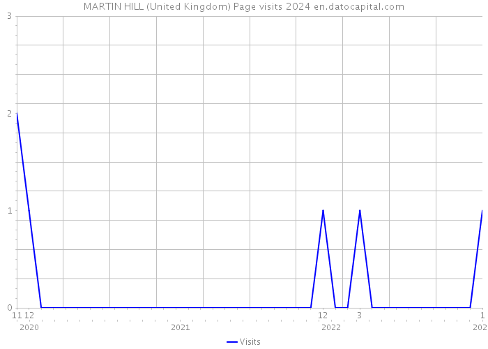 MARTIN HILL (United Kingdom) Page visits 2024 