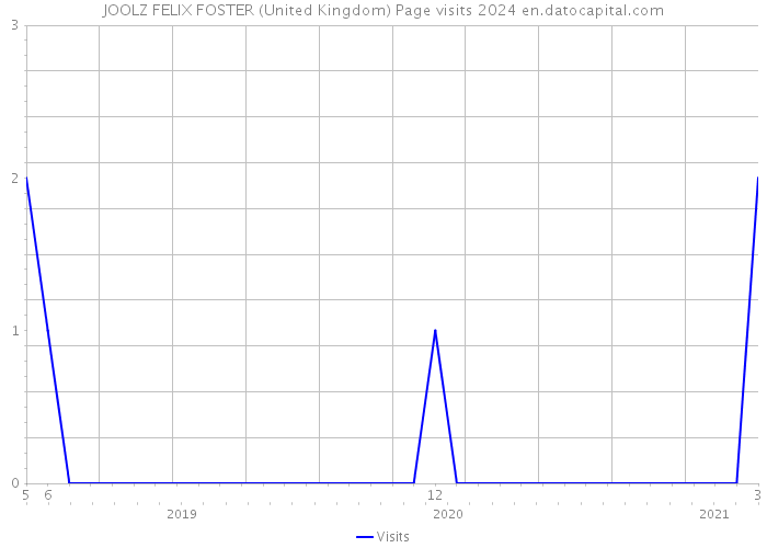 JOOLZ FELIX FOSTER (United Kingdom) Page visits 2024 