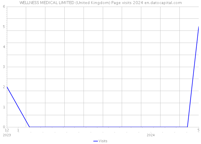 WELLNESS MEDICAL LIMITED (United Kingdom) Page visits 2024 