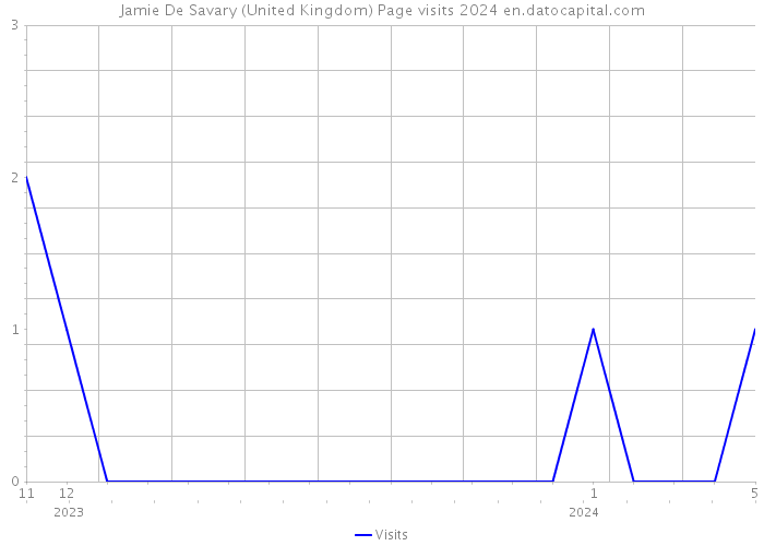 Jamie De Savary (United Kingdom) Page visits 2024 