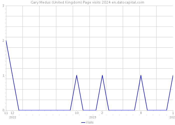 Gary Medus (United Kingdom) Page visits 2024 
