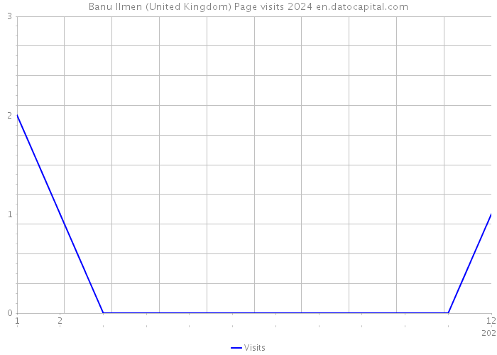 Banu Ilmen (United Kingdom) Page visits 2024 
