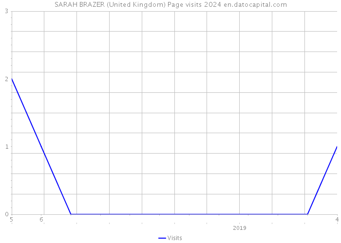 SARAH BRAZER (United Kingdom) Page visits 2024 