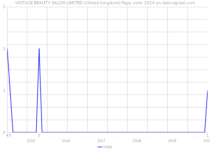 VINTAGE BEAUTY SALON LIMITED (United Kingdom) Page visits 2024 
